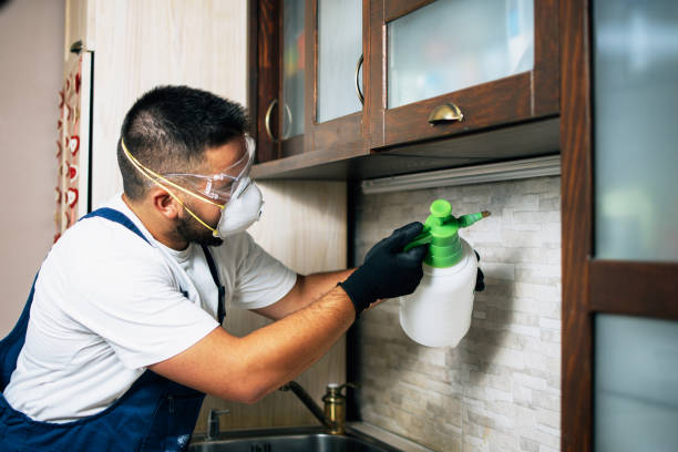 Best Pest Prevention Services  in Atwater, CA