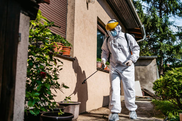 Reliable Atwater, CA Pest Control Solutions