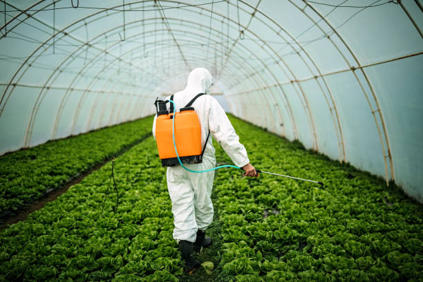 Best Affordable Pest Control Services  in Atwater, CA