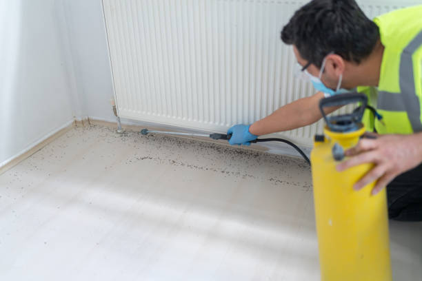Best Best Pest Control Companies  in Atwater, CA